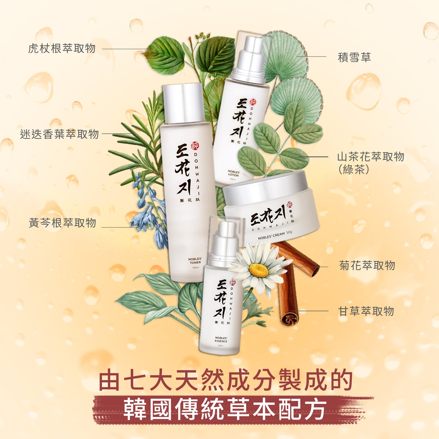 日間乳液